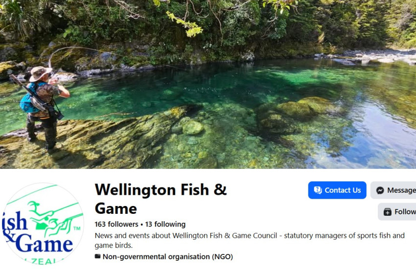 Reel Life January 2026 - Wellington