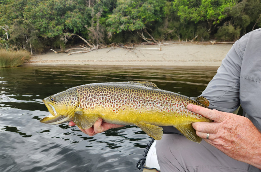 Reel Life January 2026 - West Coast
