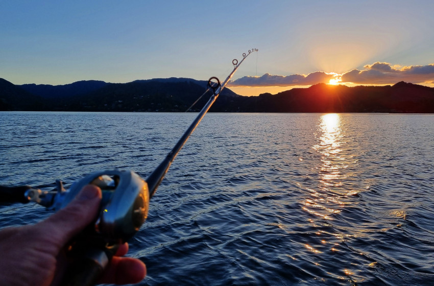 Reel Life March 2026 - Eastern