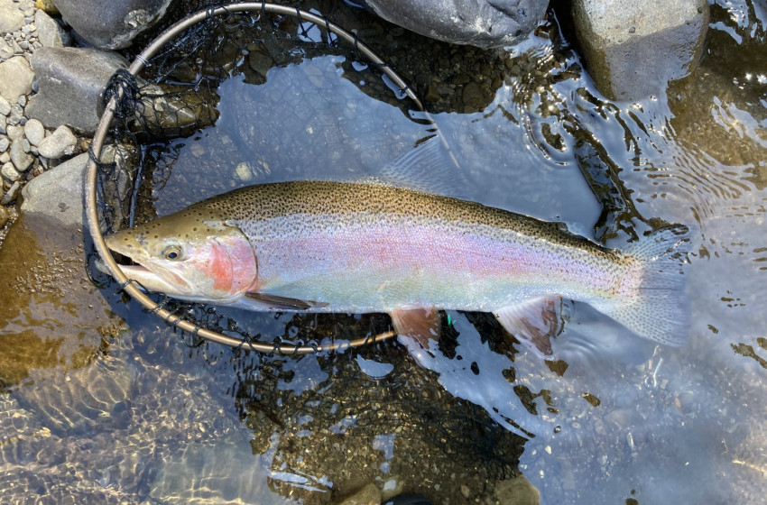 Reel Life March 2026 - Hawke's Bay