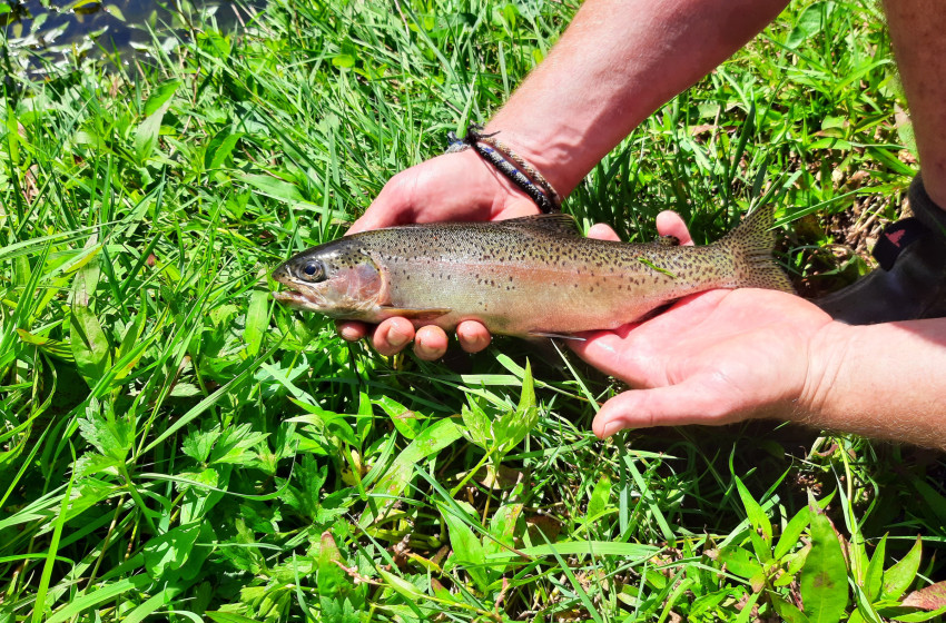 Reel Life March 2026 - Northland