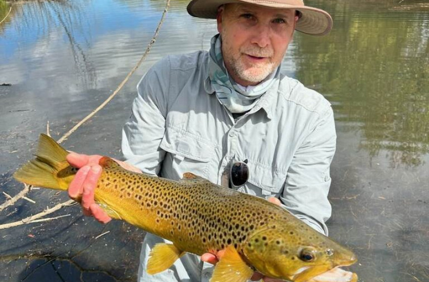 Reel Life March 2026 - Otago