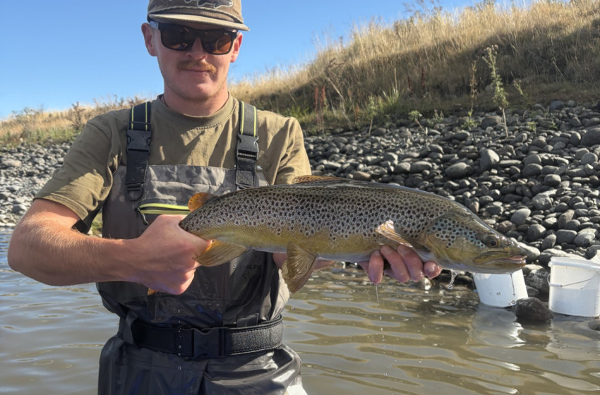 Reel Life March 2026 - Southland