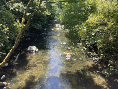 Low and Clear Autumnal Patea River