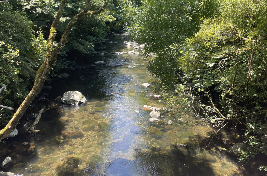 Reel Life March 2026 - Taranaki