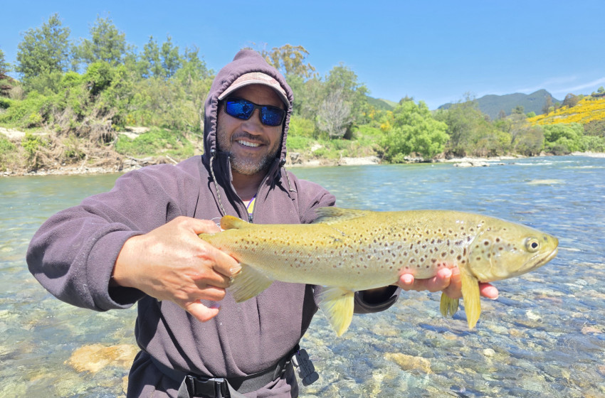 Reel Life November 2025 - Nelson Marlborough