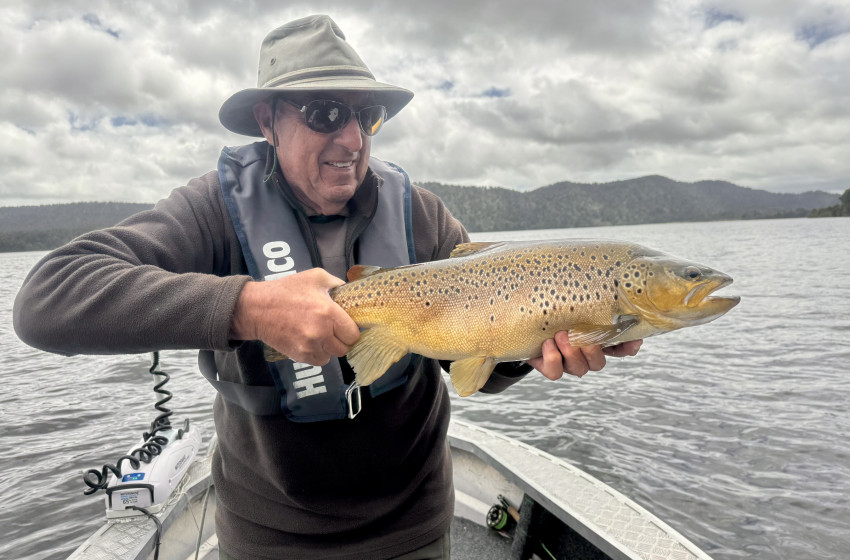 Reel Life November 2025 - West Coast
