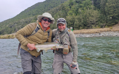 DW Trout