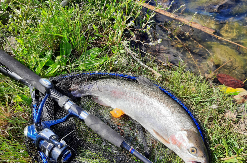 Reel Life October 2025 - Northland