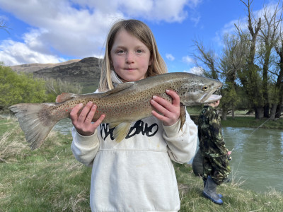 Prue trout upper Mataura worm