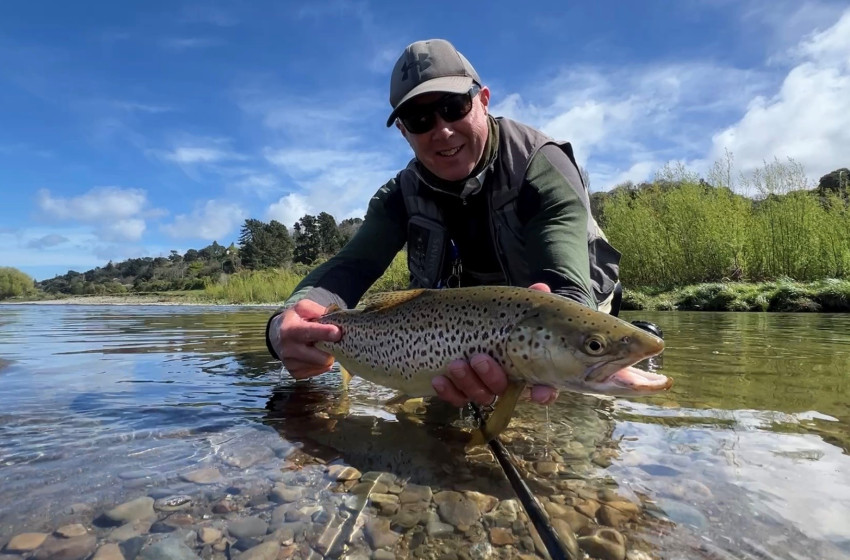 Reel Life October 2025 - Wellington