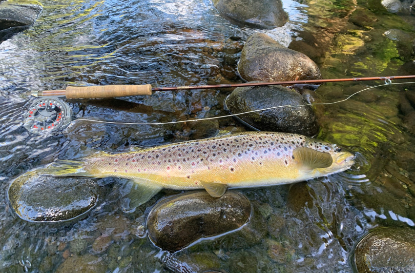 Reel Life October 2026 - Taranaki