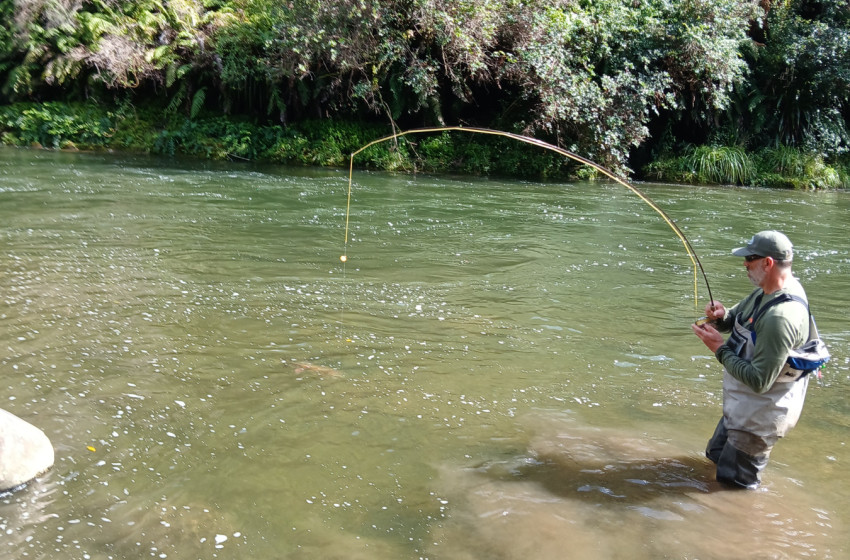 Reel Life September 2025 - Auckland Waikato