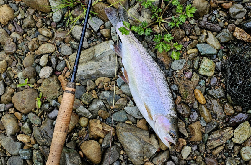 Reel Life September 2025 - Northland