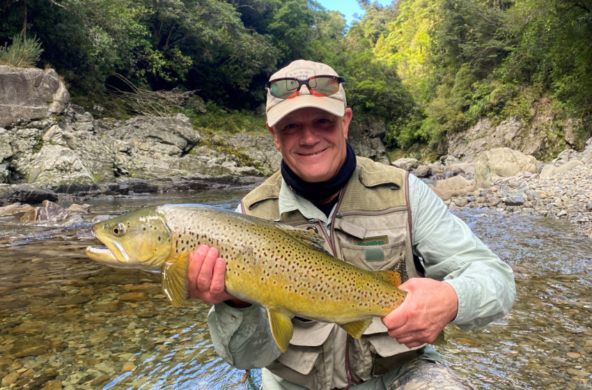 Reel Life September 2025 - Wellington