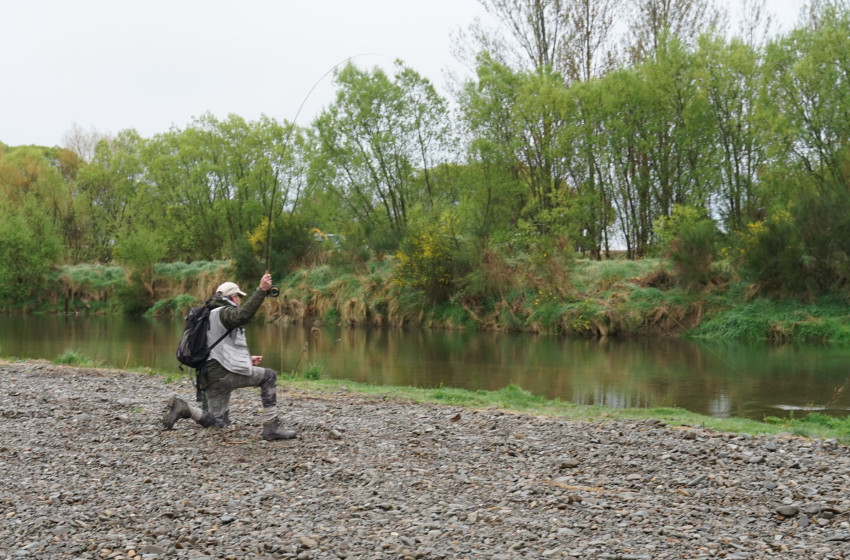 Reel Life September 2026 - Central South Island