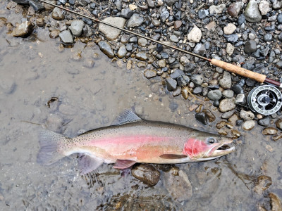 a nice rainbow jack from October 2025