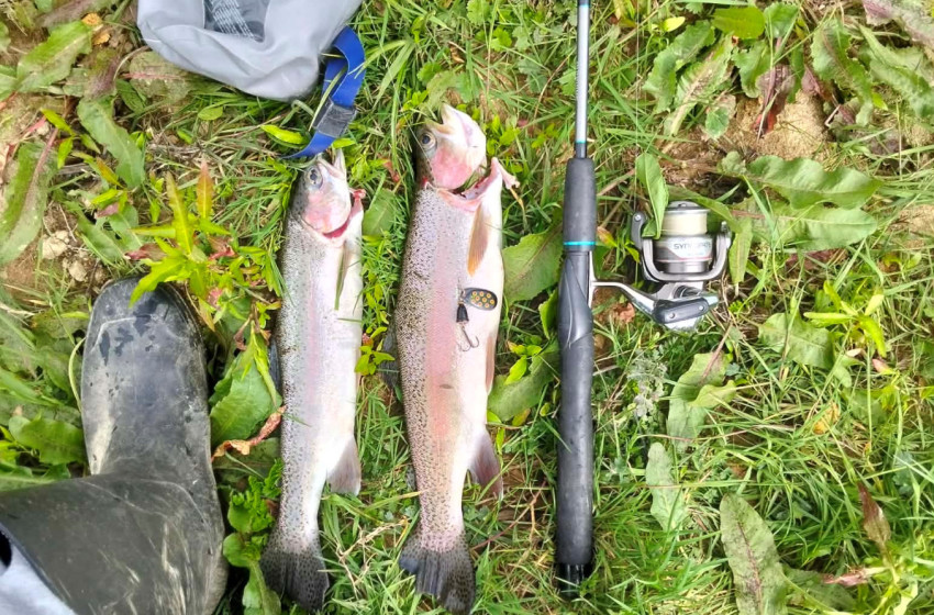 Reel Life September 2026 - Northland