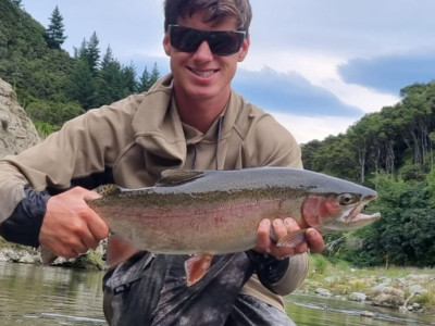 Alex Mitchell with a beautifully conditioned Wellington region rainbow