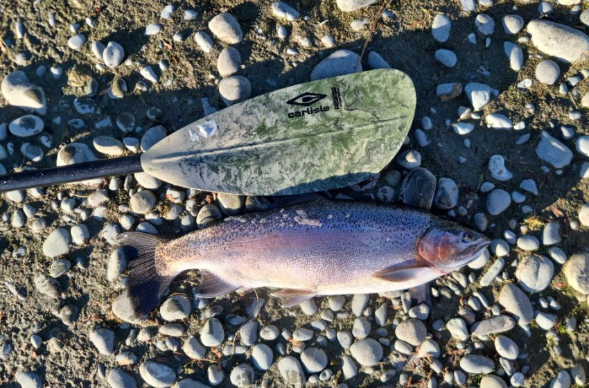 CSI Weekly Fishing Report - 29 October 2026