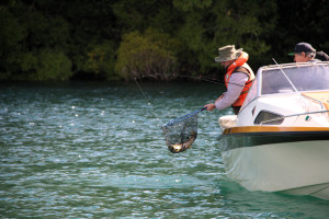 WFR2425 102 Boat anglers on Lake Aviemore net a fine catch v2. Photo H Stevens.