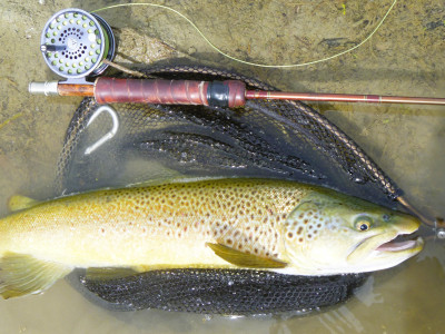 WFR2425 51 Low country rivers are currently producing incredible fish