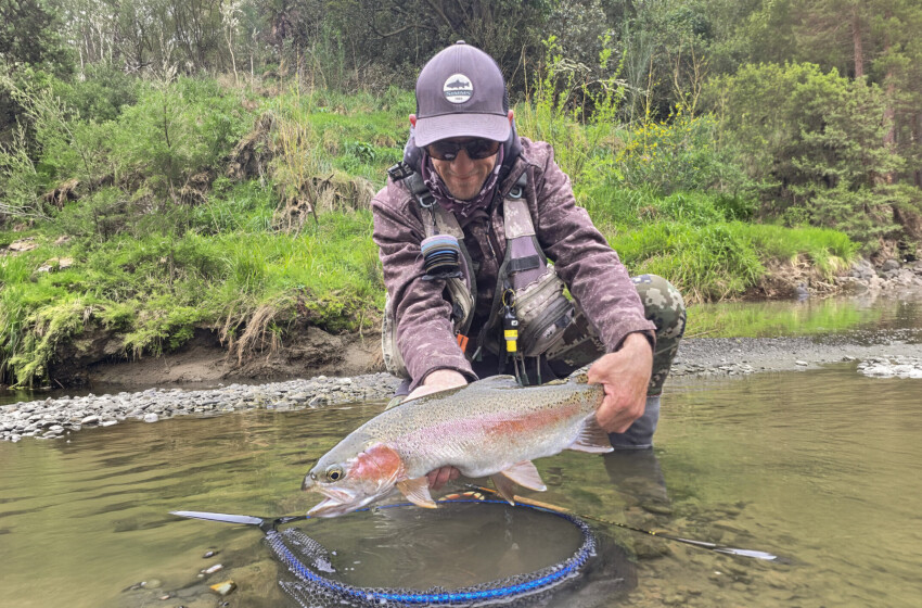 Lower North Lowdown Weekly Fishing Report - 8 October 2026