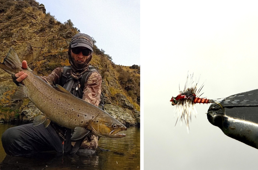 Otago Weekly Fishing Report - 2 April 2026