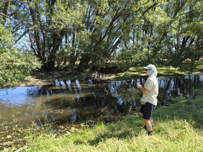 Anke Kay willow grubbing trout