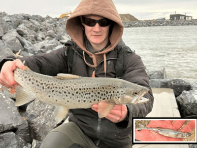 260924 Hadlee Emunds Clutha trout