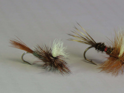 WFR2223 HE6 from left to right parachute Adams Royal Wulff and blow fly Photo by Rhys Adams copy