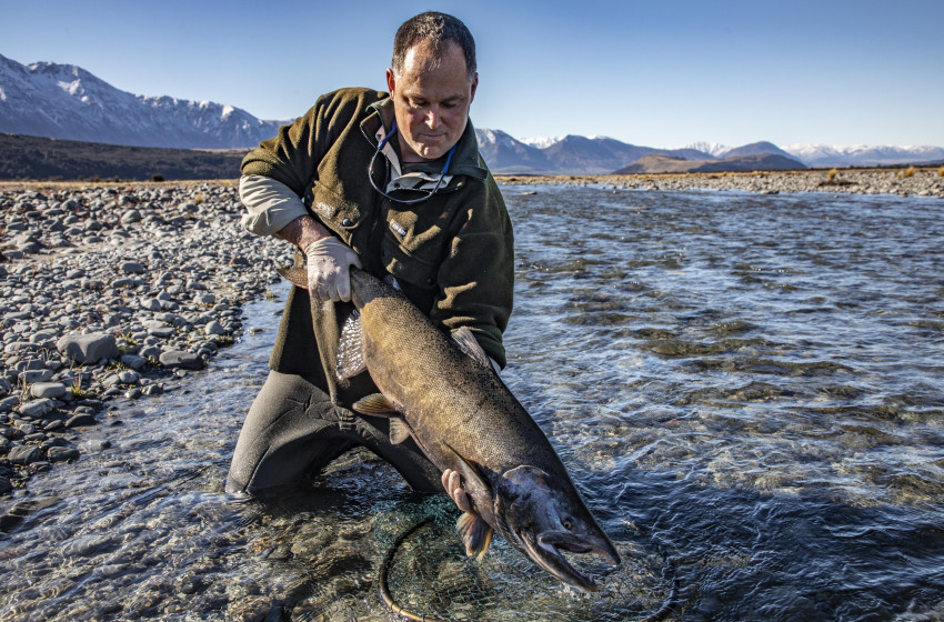 New rules introduced to protect sea-run salmon fishery