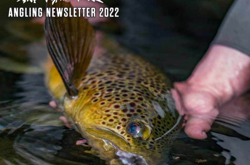 Taranaki 2022 Anglers Newsletter