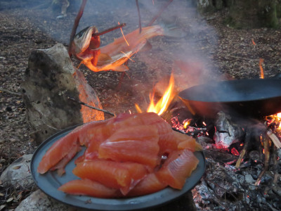 Trout fire 1