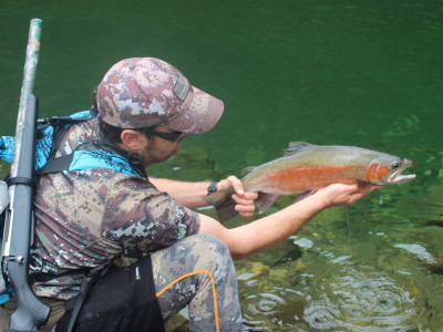 Early season backcountry rainbow for field officer Hamish Carnachan