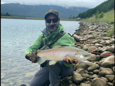 Argyle large Brown Nov 2020