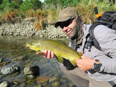 W 4 Cicada success for Andrew Harding