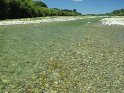 RLcsiJAN1 A refreshed Opihi Riverbed after the December rains