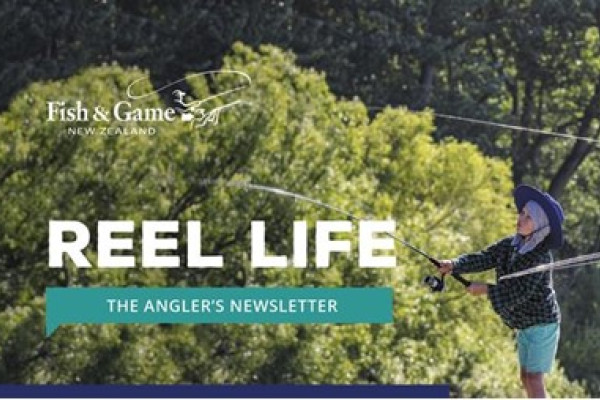 Reel life S