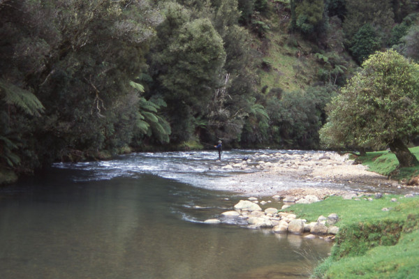 Awakino 27