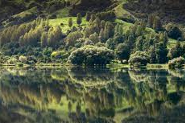 Lake tutira