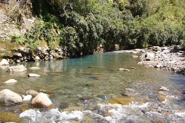 Waiwhakaiho McEwen