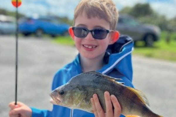Perch 2