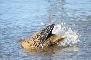 Motion decoy (1)