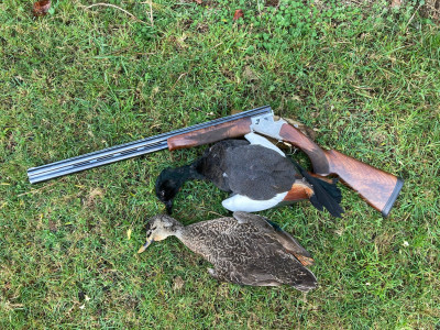Mixed bag   Photo JL