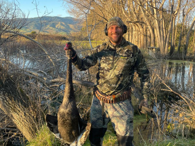 Hunters can target swan all the way through to the end of the game bird season – August 30 Derek Mitchell