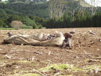 13 May 2011 038