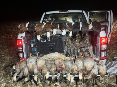 Hunters who have scouted around to locate birds have reaped the rewards
