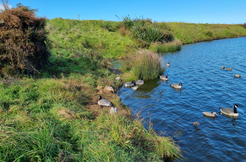 Both Barrels May 2026 - Taranaki