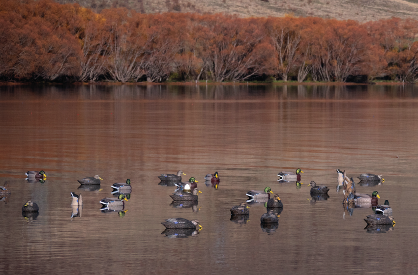 Decoy Rigging: More Than a Weight on a Bit of String